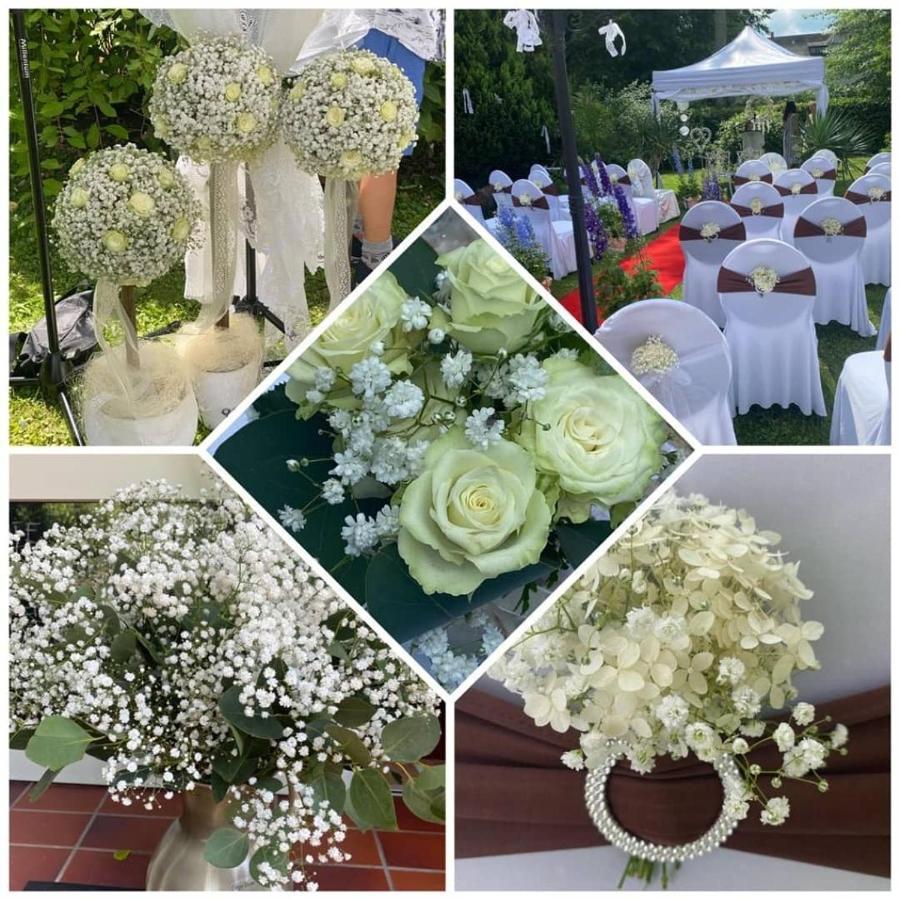 Schlossparkhotel Sallgast Luaran gambar